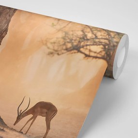 Carta da parati – Antilope africana
