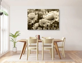 Quadro su tela – Campo di papaveri selvatici in versione seppia