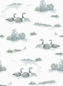 Coordonne Carta da parati Mallard Duck - Aqua
