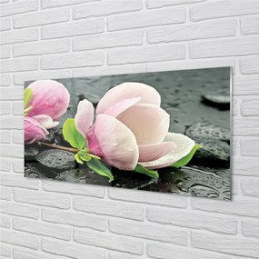 Quadro acrilico Pietre magnolia 100x50 cm