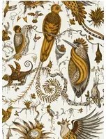 Clarke & Clarke Carta da parati Quetzal - Gold