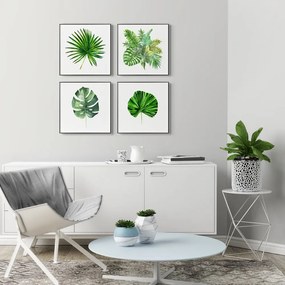 Quadri in set di 4 pezzi 30x30 cm Monstera - knor