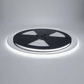 Neon Flex LED 10x10 10W/m 10m IP67 24Vdc CRI 85 B. Freddo - LUMILEDS Colore Bianco Freddo 6.000K