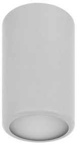 Faretto CLEO 1xE27/24W/230V grigio