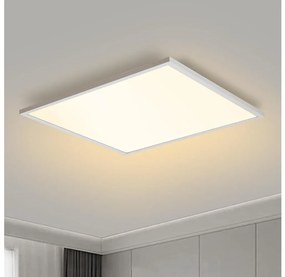 Brilagi - Luce LED dimmerabile SLIMFRAME LED/58W/230V 60x60 cm bianco + +TC