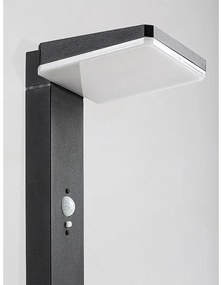 Rabalux 77079 - Lampada solare LED esterna LASSET LED/4,4W/3,7V IP54 antracite