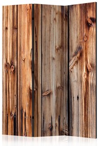 Paravento Stanza di legno (3-parti) - unica composizione in marrone