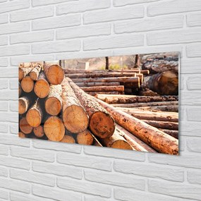 Quadro vetro acrilico Palline di composizione in legno 100x50 cm