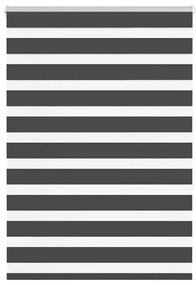 Tenda A Rullo Zebra Nero Larghezza Tessuto 110,9 Cm Poliestere /