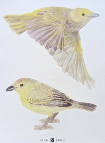 Sian Zeng Adesivo murale  - Yellow