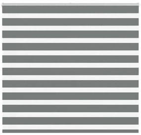 Tenda A Rullo Zebra Larghezza Tessuto 150,9 Cm Poliestere /