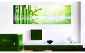 Quadro Green Bamboo  Colore Verde, Dimensioni e Misure 120x40