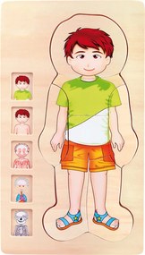 Puzzle di legno - Anatomia del ragazzo Tim