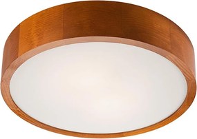 Plafoniera LED/24W/230V
