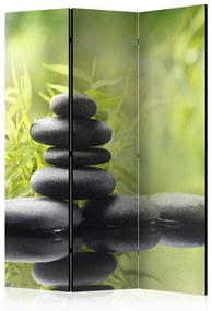 Paravento Serenity of nature [Room Dividers]