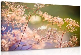 Stampa su tela – Natura morta di fiori