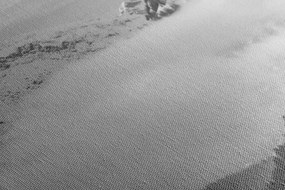 Stampa su tela – Paesaggio invernale in bianco e nero
