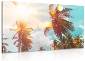 Stampa su tela – Raggi di sole tra le palme