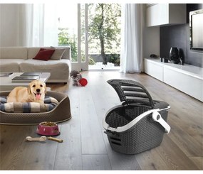 Scatola per il trasporto di animali grigio scuro - Curver