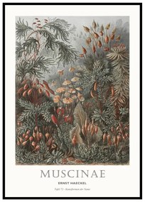 Dipinto 51x71 cm Tafel 72 – Malerifabrikken