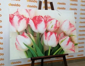 Stampa su tela – Tulipani primaverili