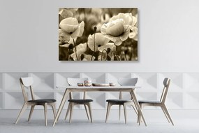 Quadro su tela – Campo di papaveri selvatici in versione seppia