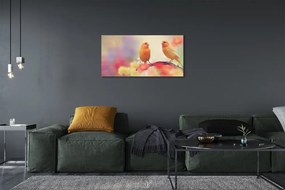 Foto quadro su tela Pappagalli colorati 100x50 cm