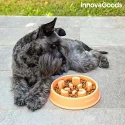 Ciotola ad Alimentazione Lenta per Animali Domestici Slowfi InnovaGoods