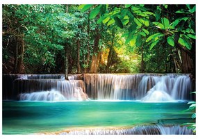 Fotomurale – Risveglio della natura