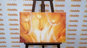 Quadro su tela – Soffione in splendida esecuzione