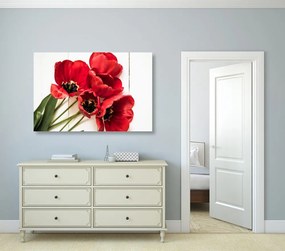 Quadro su tela – Tulipani rossi fioriti
