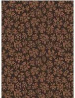 Cole & Son Carta da parati Savanna Shell - 119/4018