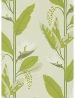 Harlequin Carta da parati Llenya - Lime/ Jade/ Pebble