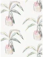 Topfpflanzen Tapete Crassula von Scion - Blush/ Mint