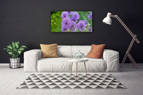 Foto quadro su tela Fiori viola del prato 100x50 cm