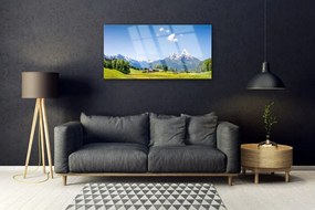 Quadro di vetro Campi Alberi Montagne Paesaggio 100x50 cm