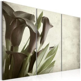 Quadro callas  vintage  Colore Verde, Dimensioni e Misure 90x60