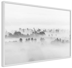 Poster Fog Over the Forest