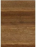 CMO Paris Carta da parati Feuilles de Bananier - Blond
