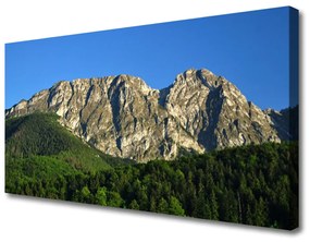 Quadro su tela Montagna della foresta della natura 100x50 cm