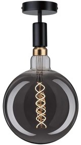 Paulmann 79760 - Plafoniera HALDOR 1xE27/20W/230V