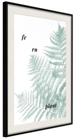 Poster  Pale Green Fern  Cornice Quadri Cornice nera con pass-partout, Larghezza x Altezza Home decor 20x30