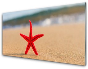 Quadro vetro acrilico Arte della stella marina della spiaggia 100x50 cm