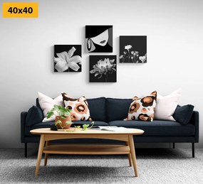 Set di quadri – Eleganza femminile e fiori in bianco e nero