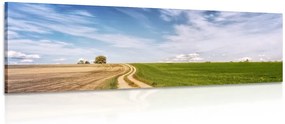 Stampa su tela – Paesaggio incantevole