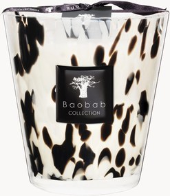 Candela profumata Black Pearls (pompelmo, zenzero, rosa)