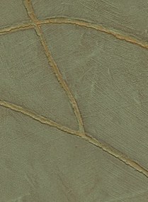Élitis Carta da parati Kintsugi - VP 1004 62