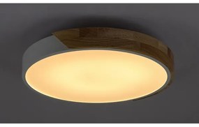 Rabalux 3527 - Plafoniera LED MAPLE LED/24W/230V bianco