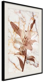 Poster  Lily on Marble Background  Cornice Quadri Cornice nera con pass-partout, Larghezza x Altezza Home decor 20x30