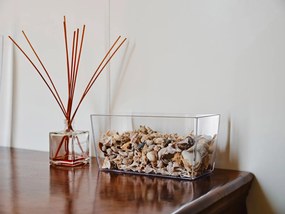 Vaso Rettangolare 30x14,5x15 cm in Plastica Coimbra 30 Trasparente...